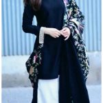 Punjabi dress designs images for girls
