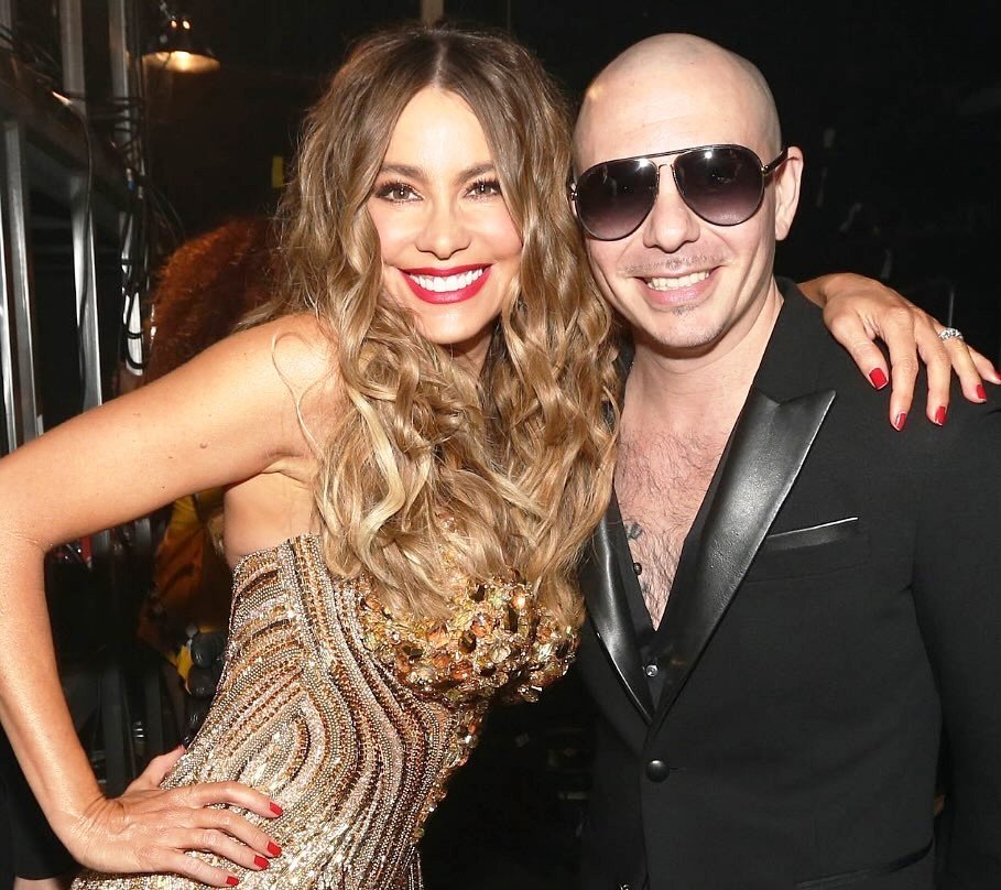 Pitbull Singer Height, Weight & Career Highlights 2 Pitbull Singer Rapper with Girls singer Adele